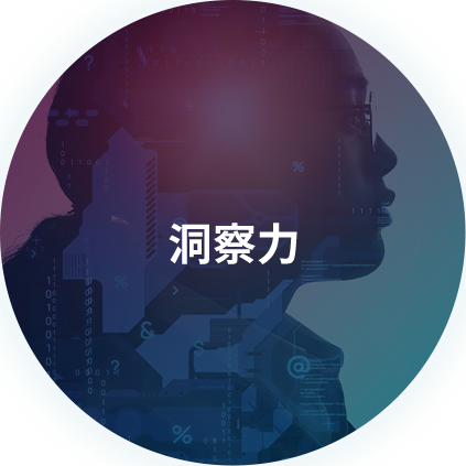 洞察力